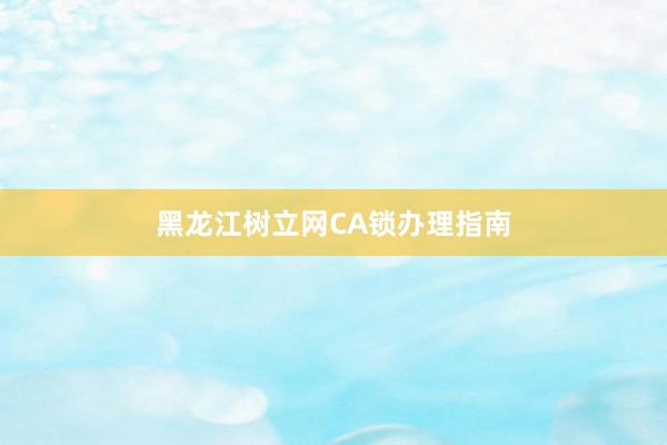 黑龙江树立网CA锁办理指南