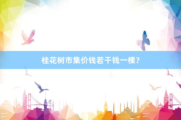 桂花树市集价钱若干钱一棵？